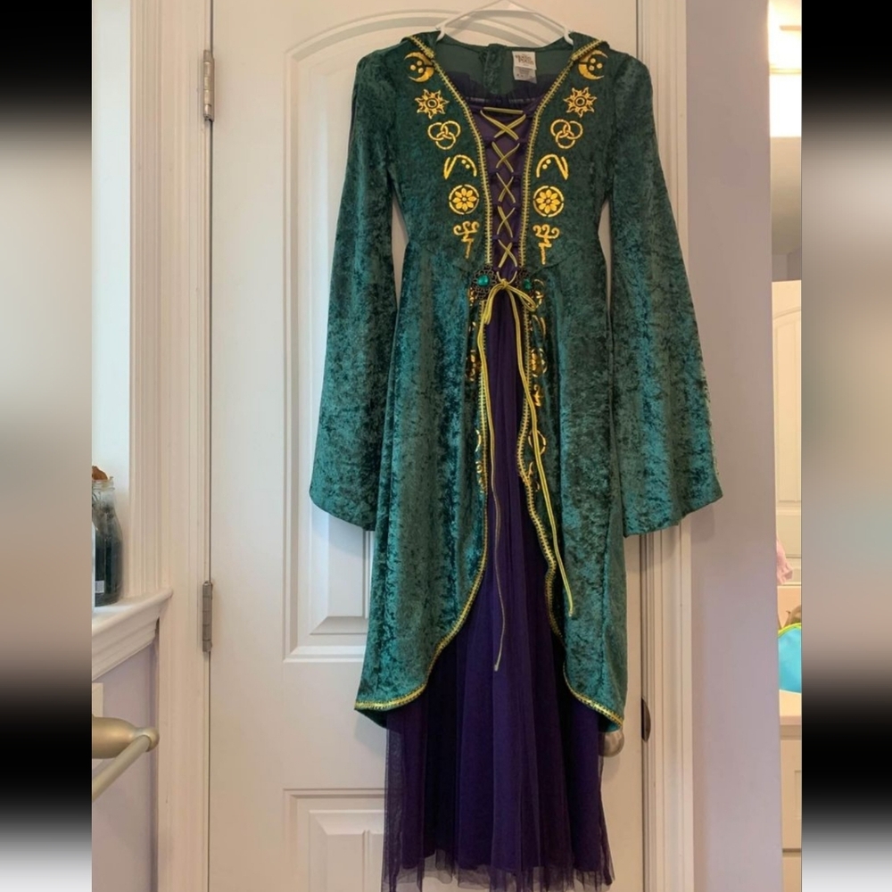 Disney Winifred Hocus Pocus Witch Halloween Costume Sz Xl Flowy Wiccan Mickey